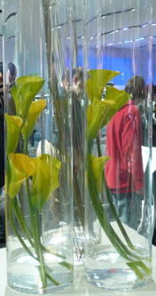 P1000333.JPG