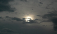 P1000380.JPG