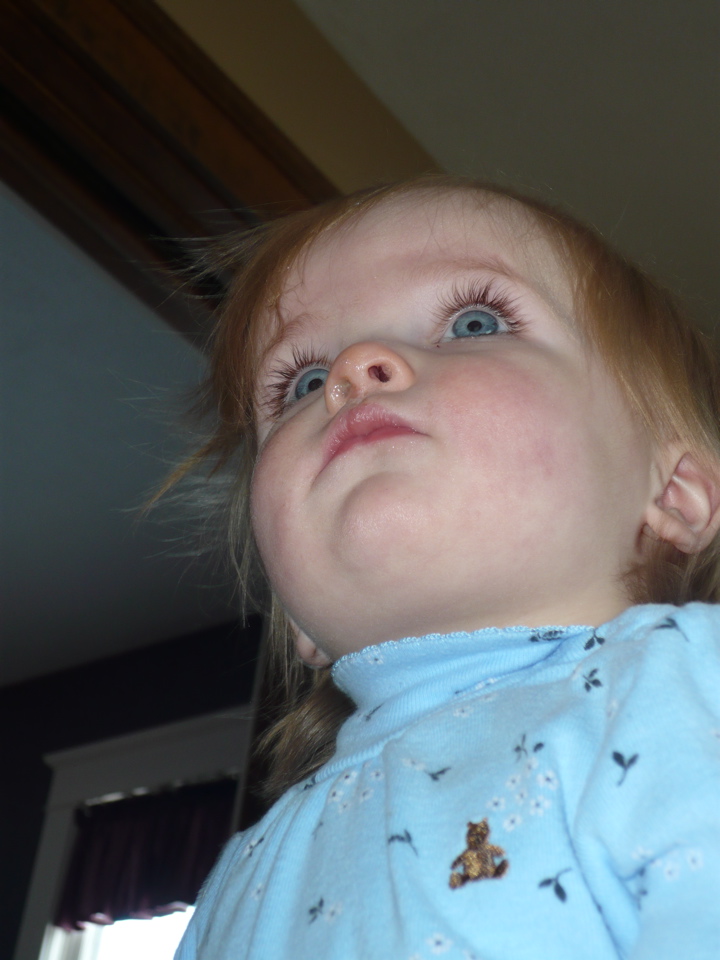 P1000754.JPG