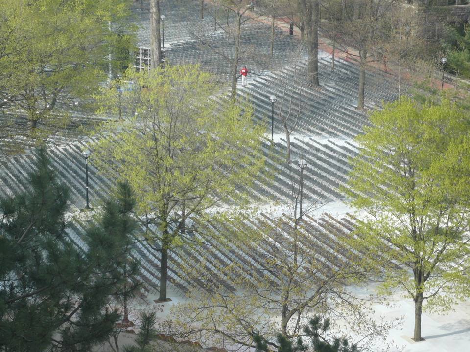 P1010245.JPG