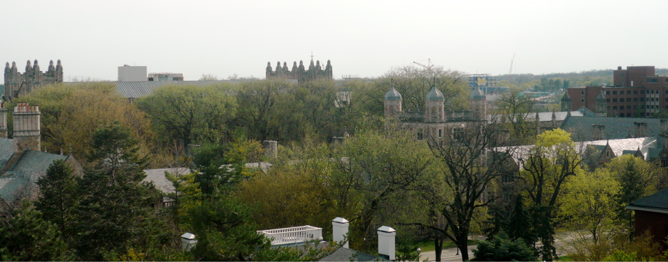 P1010246.JPG