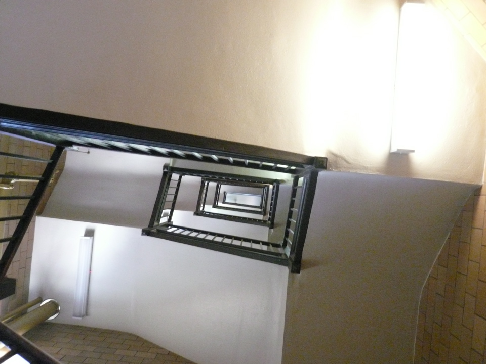 P1010285.JPG