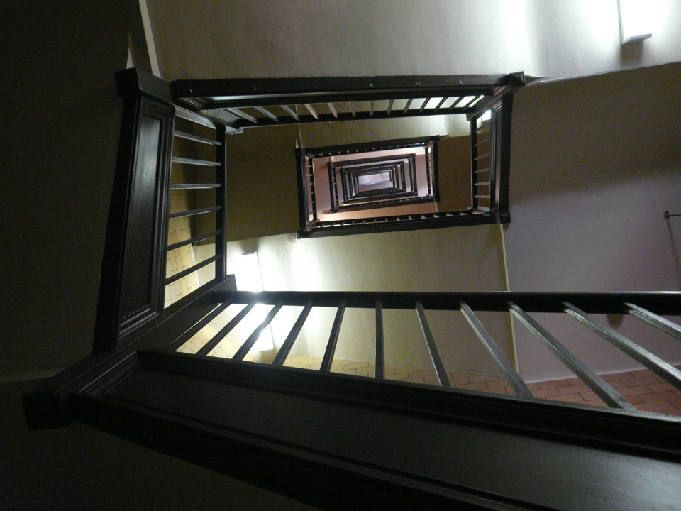 P1010286.JPG