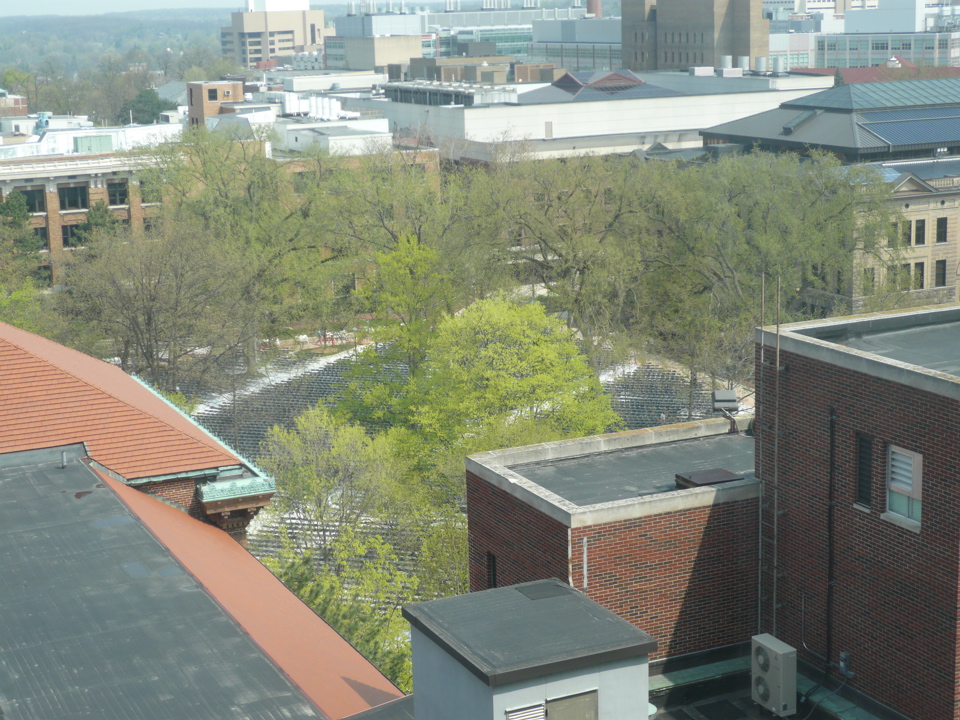 P1010290.JPG