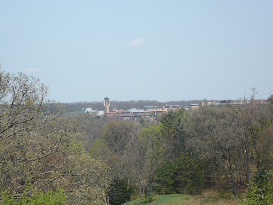 P1010316.JPG