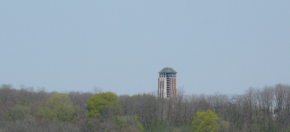 P1010319.JPG