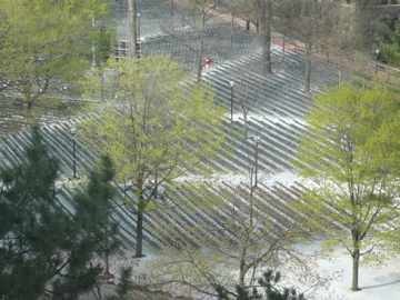 P1010245.JPG