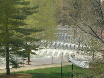 P1010251.JPG