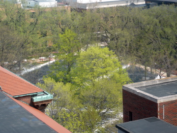 P1010288.JPG