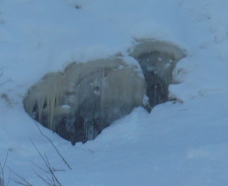 P1000825.JPG