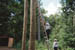 ray.climb