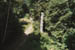 zipline2