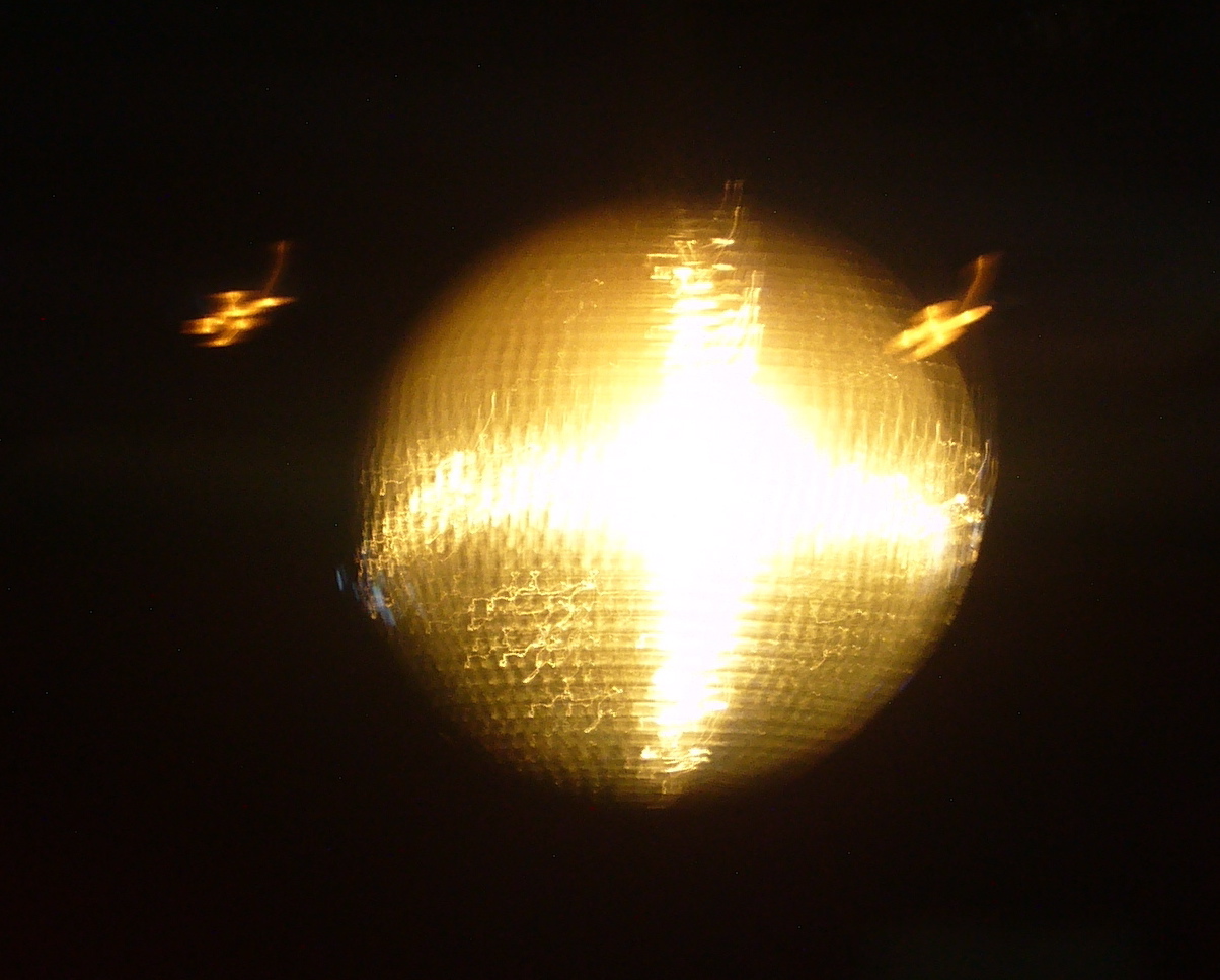 P1050171.JPG
