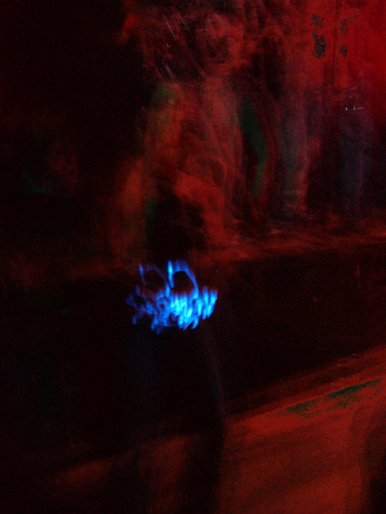 P1050206.JPG