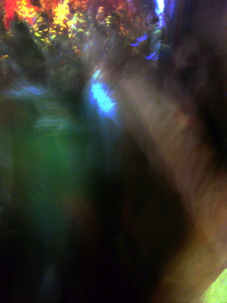 P1050177.JPG
