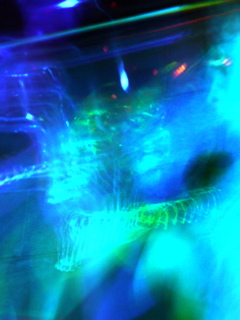 P1030478.JPG