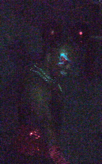 P1030464.JPG