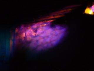 P1040380.JPG