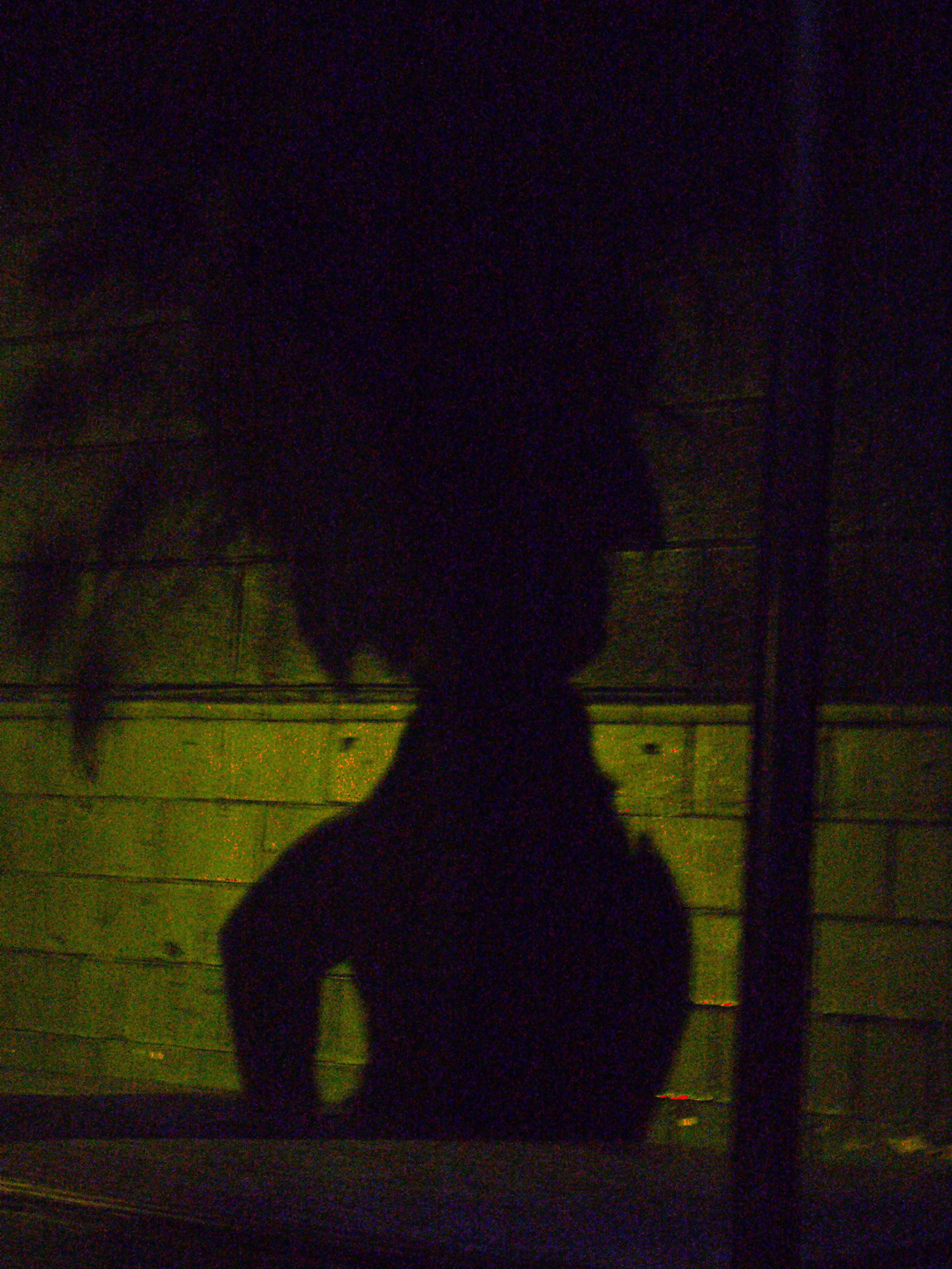 P1040203.JPG