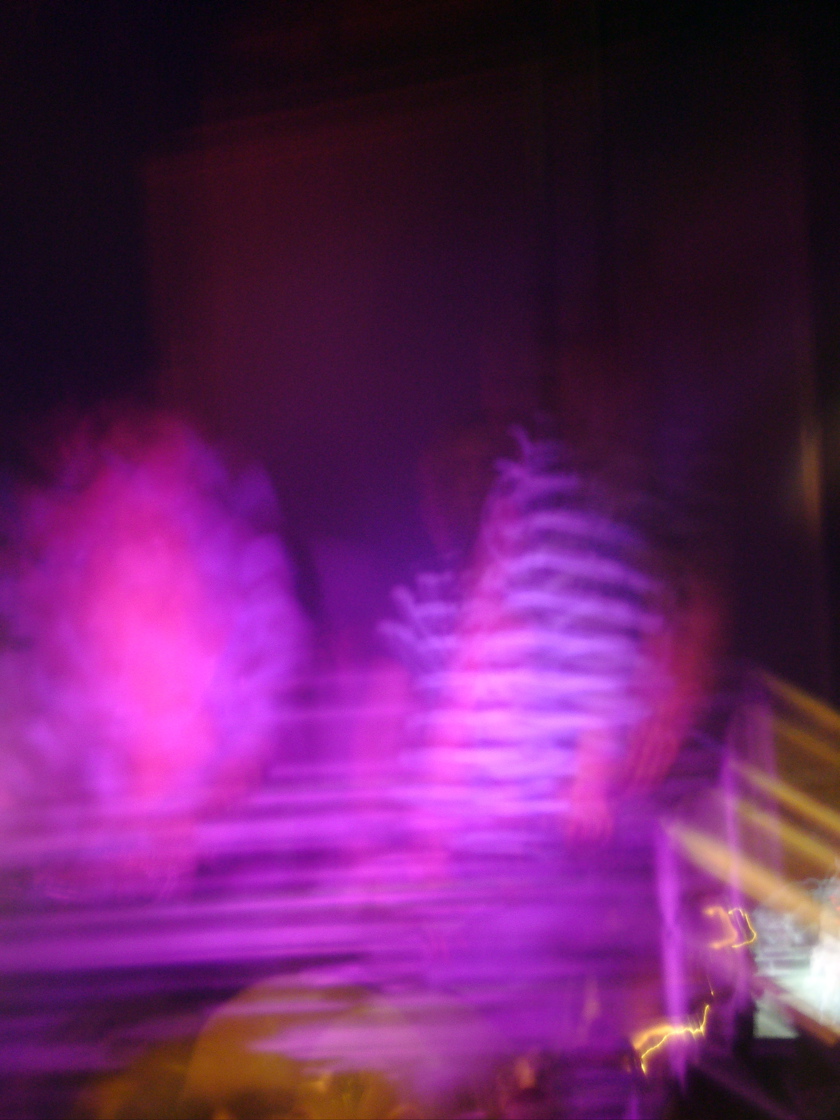 P1060973.JPG