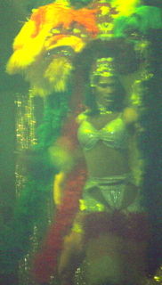 P1000498.JPG