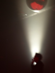 P1000254.JPG