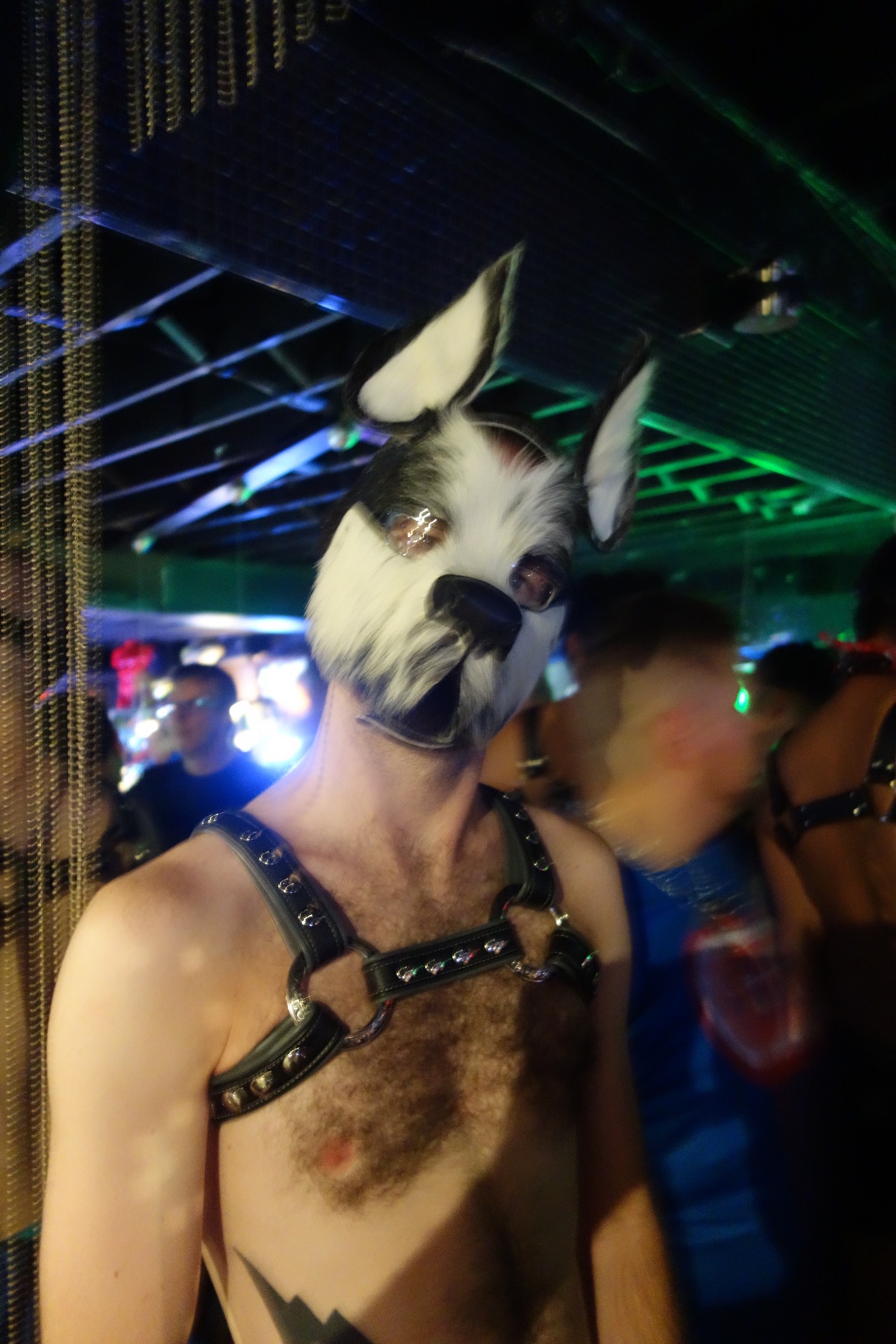 DSC09826
