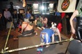 DSC09910