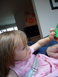 P1030272.JPG
