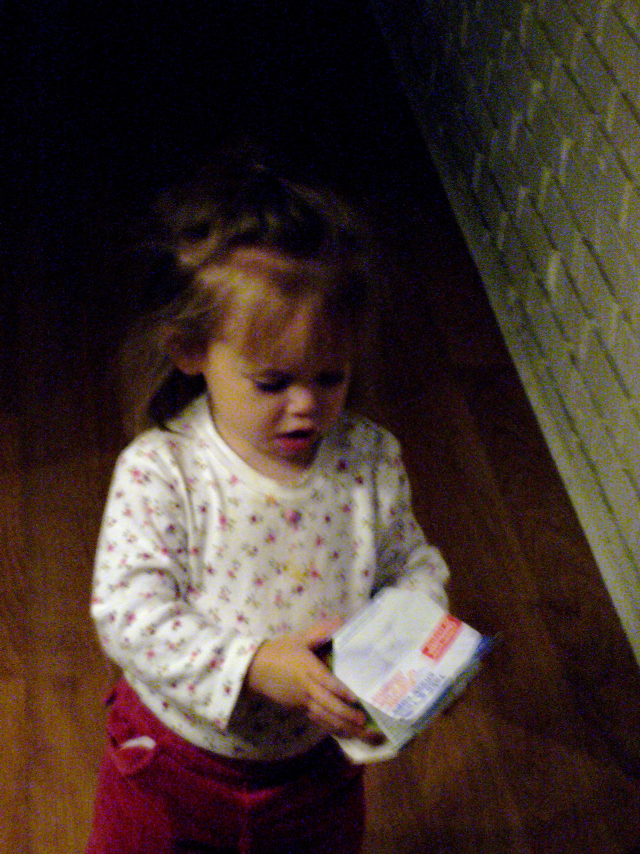 P1030010.JPG