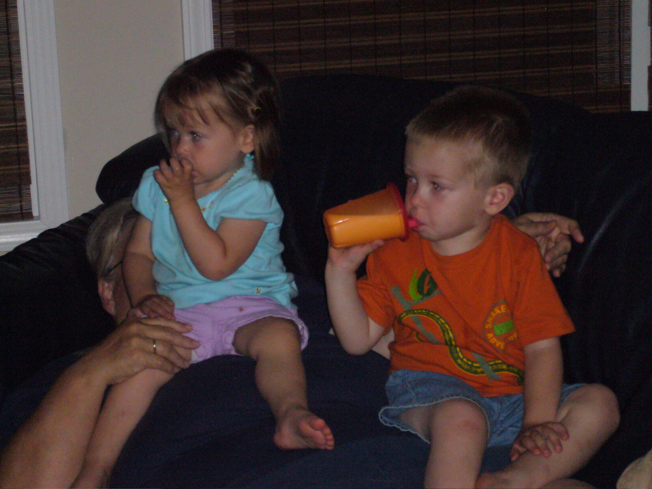 P1030444.JPG