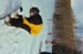andy.pre-halfpipe