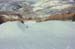 rich.halfpipe