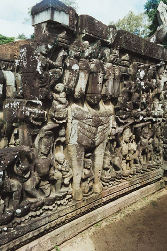 elephant.terrace