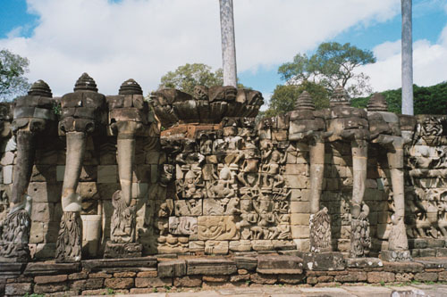elephant.terrace2