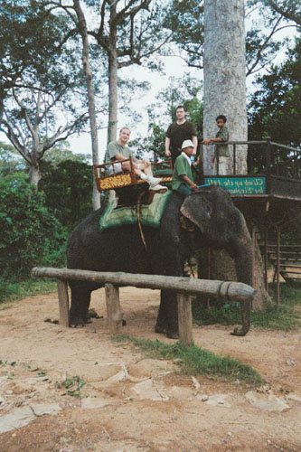 siemreap.andrew.elephant