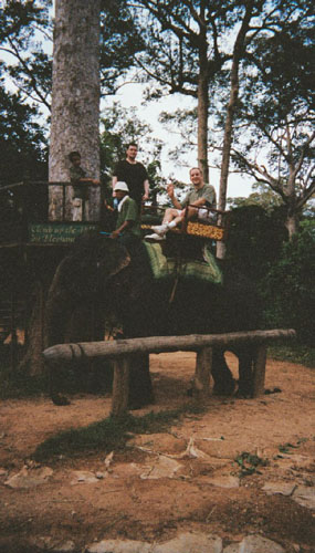 siemreap.elephant.andrew2