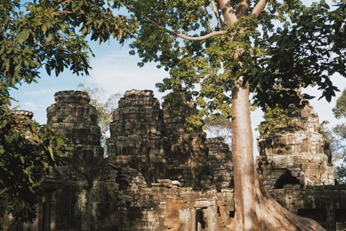 taprohm.exterior