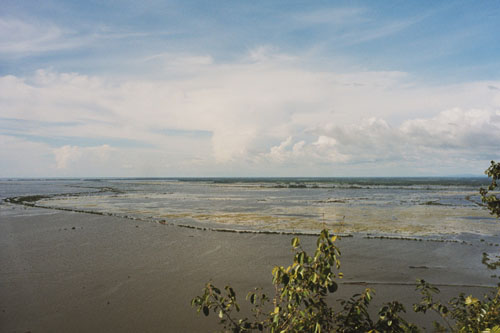 tonelesap.shore