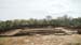 royal.enclosure2