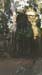taprohm.tree3
