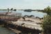 tonlesap.storks