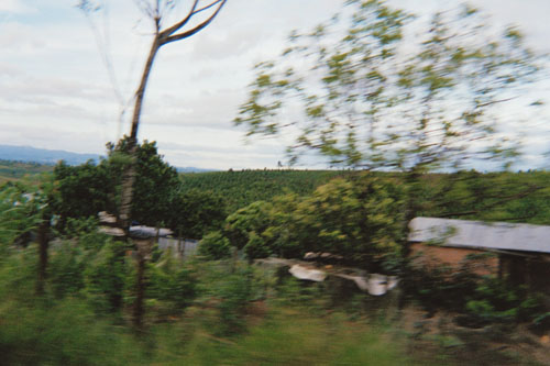 bike.moving.terrain