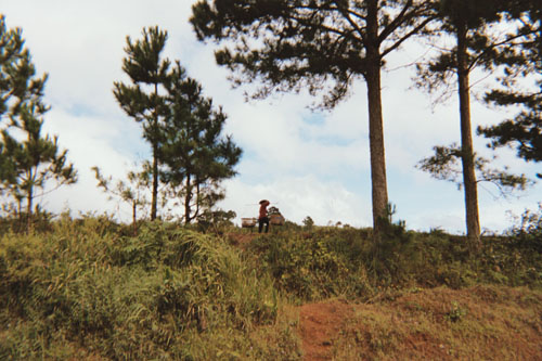 bike.ricepicker