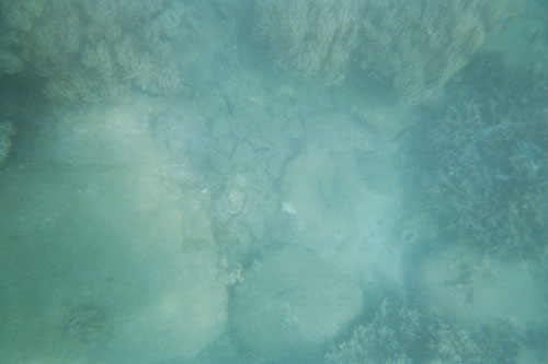 boat.coral3