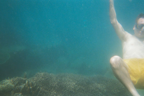 boat.snorkel.andrew