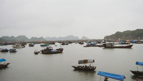 catba.bay.fisherman