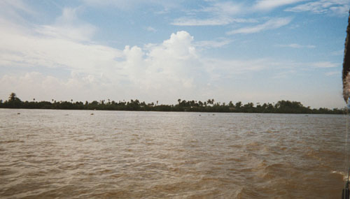 mekong.delta.river