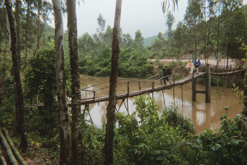 myson.bridge1