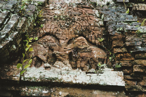 myson.elephants